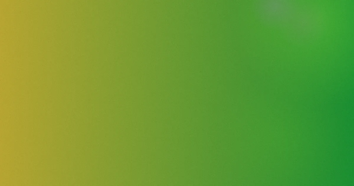 91视频在线播放测评避坑